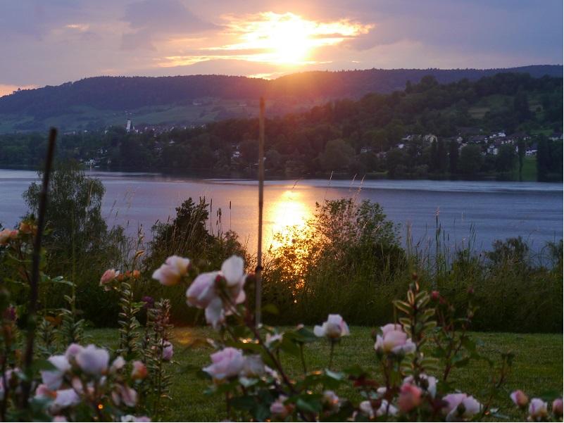 Blossom Magic of the Lake Constance Gardens Fr-Su in June
